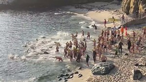 Endurance Training Drink Mix (Caramel Latte Flavor) – with Antioxidant Bionutrients for Peak Endurance & Rapid Recovery. High Carb, Electrolytes & Complete Protein to Replenish Fast - 20 Servings