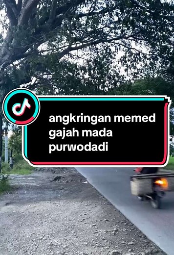hallo bosku ta kasi tau angkringan recomend bgt namane angkringan memed lokasi ada di jl.gajah mada purwodadi ya bosku timur hotel grand master🙌🏻 #fy #kulinertiktok #kulinerindonesia #umkm #masukberanda #foryoupage