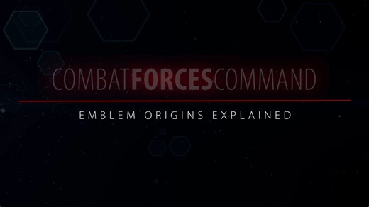 Combat Forces Command Emblem Explained