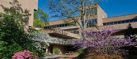 Online Bachelor's in Integrated Professional Studies | UNC Greensboro