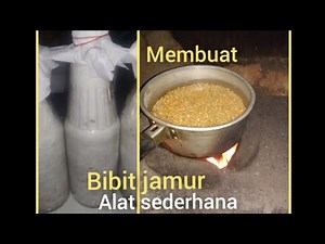 cara membuat bibit jamur tiram dengan alat sederhana, membuat bibit jamur tiram.