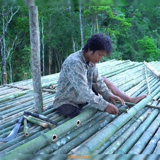 4.8K views · 117 reactions | 21 Day Tree House Farm Sanctuary Complete with Bird House, Pig Barn, and Chicken Coop | متنزه مدينة الضباب | Facebook