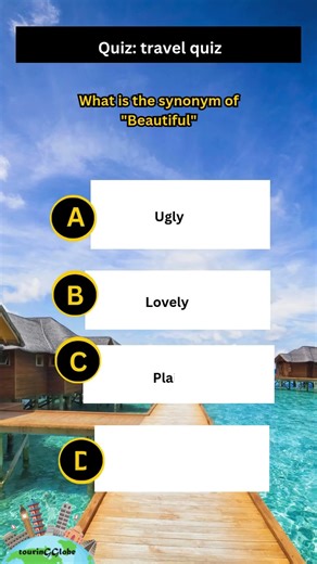 FUN Synonym QUIZES to Test Your Vocabulary!