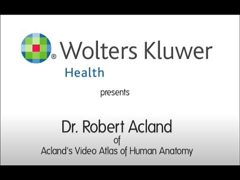 Acland’s Video Atlas of Human Anatomy