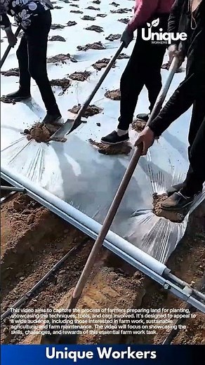 Farm work for beginners: a simple guide to land preparation