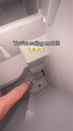 Prevent Mold in Ice with Simple Cleaning Tablets