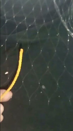 Tutorial Headquarters How to Assemble All Models of Fishing Nets!!!! #tutorial #fishnet #tips #gt...