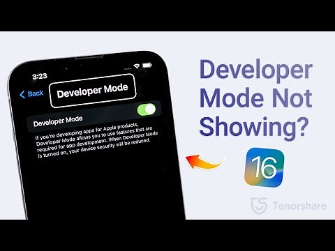 iOS 18/17/16 Developer Mode Not Showing on iPhone? 1 Click to Enable It!