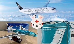 スターアライアンス、日赤に寄付＝慈善オークションの７７万円：トレンド動画：時事ドットコム