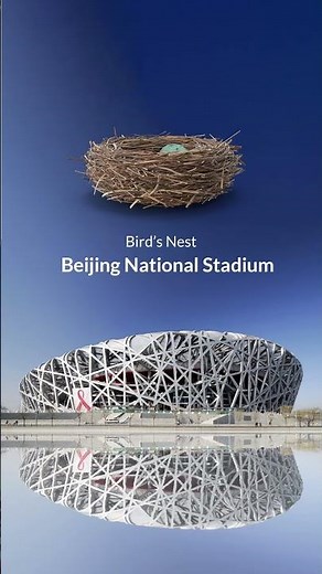 Wonders of Biomimicry #Architecture