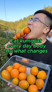 Eat Kumquats Daily & Transform Your Health – Here’s How! Tiny but mighty, kumquats are a powerhouse of nutrition! Eating these citrus gems daily boosts your immune system, supports digestion, and floods your body with antioxidants. Plus, their edible peel is packed with fiber and essential oils that promote heart health and glowing skin. Ready to supercharge your wellness? Discover why adding kumquats to your diet is a game-changer! Credit to healthtips33333 #SuperfoodBenefits #HealthyLiving #Ku