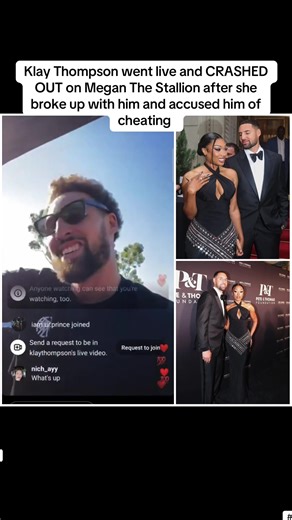 Klay Thompson's Viral Live Incident with Megan Thee Stallion