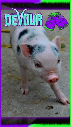 Door Shenanigans | #devour