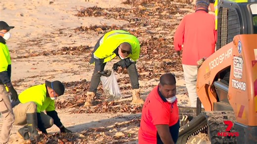 Sydney is being promised cleaner beaches with a $3 billion upgrade to the sewerage system. | 7NEWS Sydney