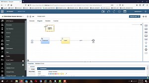 IBM BPM/BAW - Constructor Design pattern