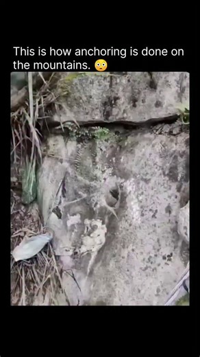 knowledge on Instagram: "Follow) 🛡Anchoring in rugged mountain conditions is not a matter of trial and error—it demands engineering accuracy. Cement-based action grout offers strong internal bonding, high load resistance, and dependable performance even in broken or unstable rock formations. Whether it’s used for slope reinforcement or structural foundations, this method allows engineers to anchor systems securely in environments where standard solutions fail. Understand the method, apply it co