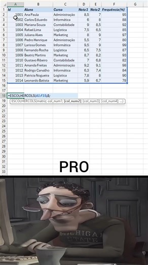 Construindo Novas Matrizes com Colunas Escolhidas no Excel