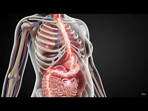 How Inflammation Affects Your Health | Hidden Signs, Causes & Natural Fixes