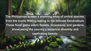 Exploring the Verdant Beauty: Top 10 Native Flora in the Philippines