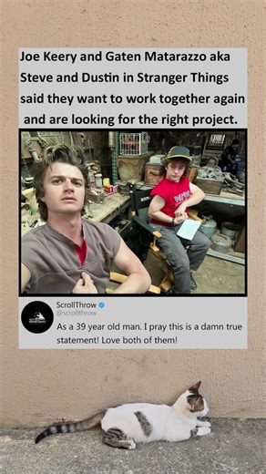Steve and Dustin seek right project to work together again after Stranger Things #strangerthings