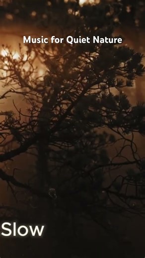 Cozy Indie Evening ✨🔥 #indie #cozy