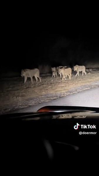 Exploring Off-Road Adventures on Botswana's A3 Road