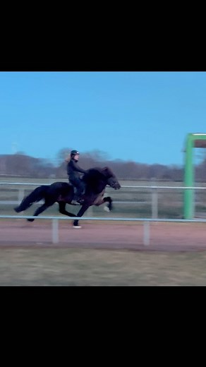 Nökkvi | MY KING OF 🔥 First time on the ovaltrack (after winter break and winter training). I can hardly wait to start the season with him 🥺❤️ | Sina Günther