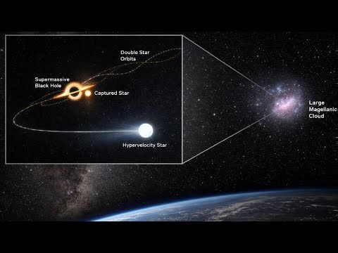 Hypervelocity Stars: The Fastest Stars in the Universe!