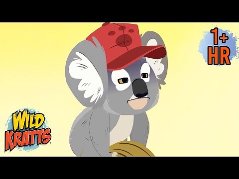 Koalas & Kangaroos 🐨🦘 | Wild Kratts Animal Adventures for Kids | 9 Story Kids