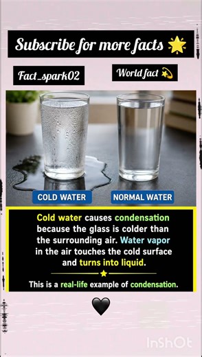 Did you know🤯#sciencefacts #viralpost #dailyfacts#knowledge #factsdaily #interestingfacts #factspark