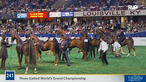 2016 WCHS - Class 241 Three Gaited World's Grand Championship
