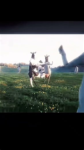 Its the first of the Month!! | #shorts #firstofthemonth #month #meme #memes