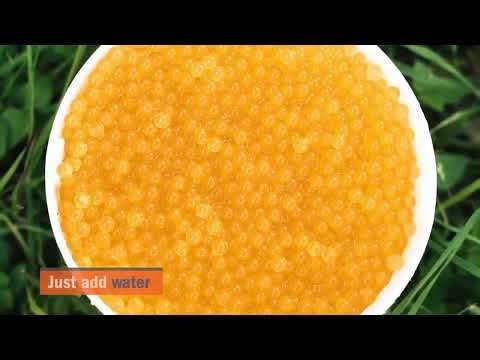 Gel Blaster Party in Silicon Valley | Ultimate Bay Area Battle Experience