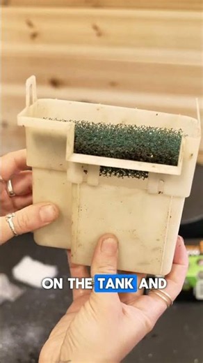 How To Clear Up The Gunk In Your Aquarium