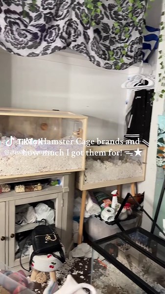 Affordable Hamster Cages from Auctions