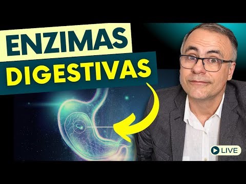 Enzimas Digestivas: Como Tomar do Jeito Certo