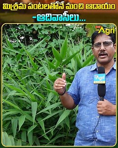 3.1K views · 40 reactions | Multi Cropping, Misrama Vyavasayam by...