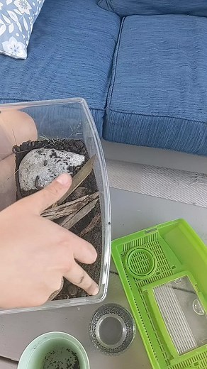 crushing annoying fucking bitch