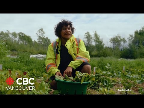 'Tea Creek' documentary on CBC Gem highlights B.C. farm's efforts on food sovereignty