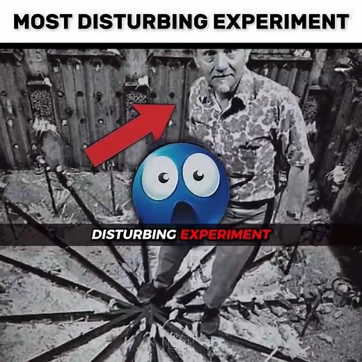 The Most Disturbing Experiment Ever 💀🐀