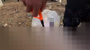 523 reactions · 84 shares | With its deep Mexican history, Hornitos...