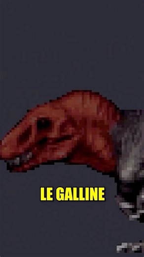 QUELLA NON È UNA GALLINA! 😱