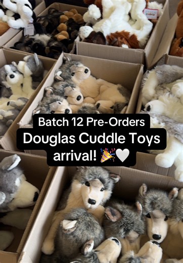They’re finally here!! 🤩❤️ Batch 12 Pre-Orders will ship on March 10th but you’ll get an email early (over the weekend) with your tracking number so you can watch your plushie’s journey home. 🥰🐾 Find DOUGLAS in Australia, UK and Europe with Wonder Wolf Plush! Link in bio 🐺 #plushies #douglascuddletoys #essa #douglasdog #emotionalsupportstuffedanimal