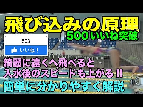 【水泳】綺麗な【 飛び込み】の簡単な原理