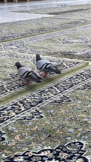 Exploring the Grandeur of Masjid al-Haram in Mecca