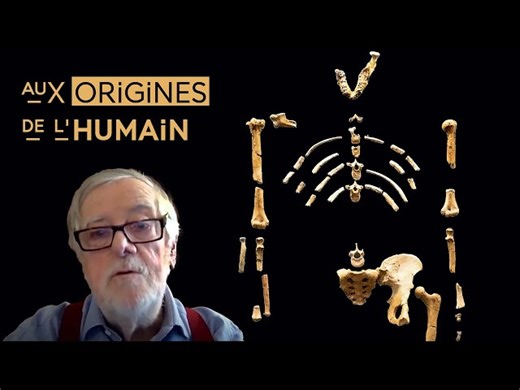 Conférence | Où, quand, pourquoi, comment est apparu l’Homme ?