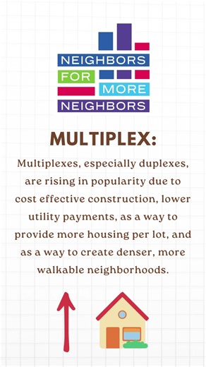 What are Multiplexes?