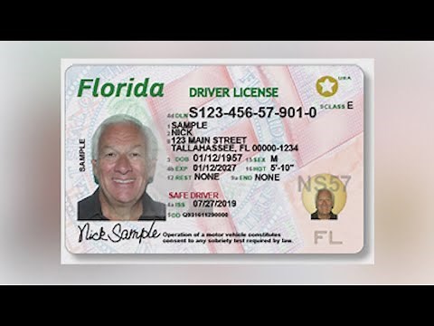New Florida driver's license numbers will be issued to help prevent fraud