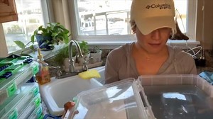 2.5K views · 27 reactions | How do you clean a Lure Lock box? @cami_cakes_ shows you how! www.lurelock.com | Lure Lock | Facebook