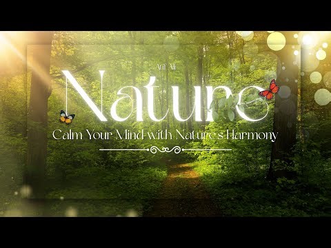 Nature Relaxation Film 4K - Peaceful Relaxing Music - Nature 4k